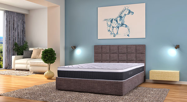 3dsany_ambientastret