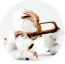 Icona cotone
